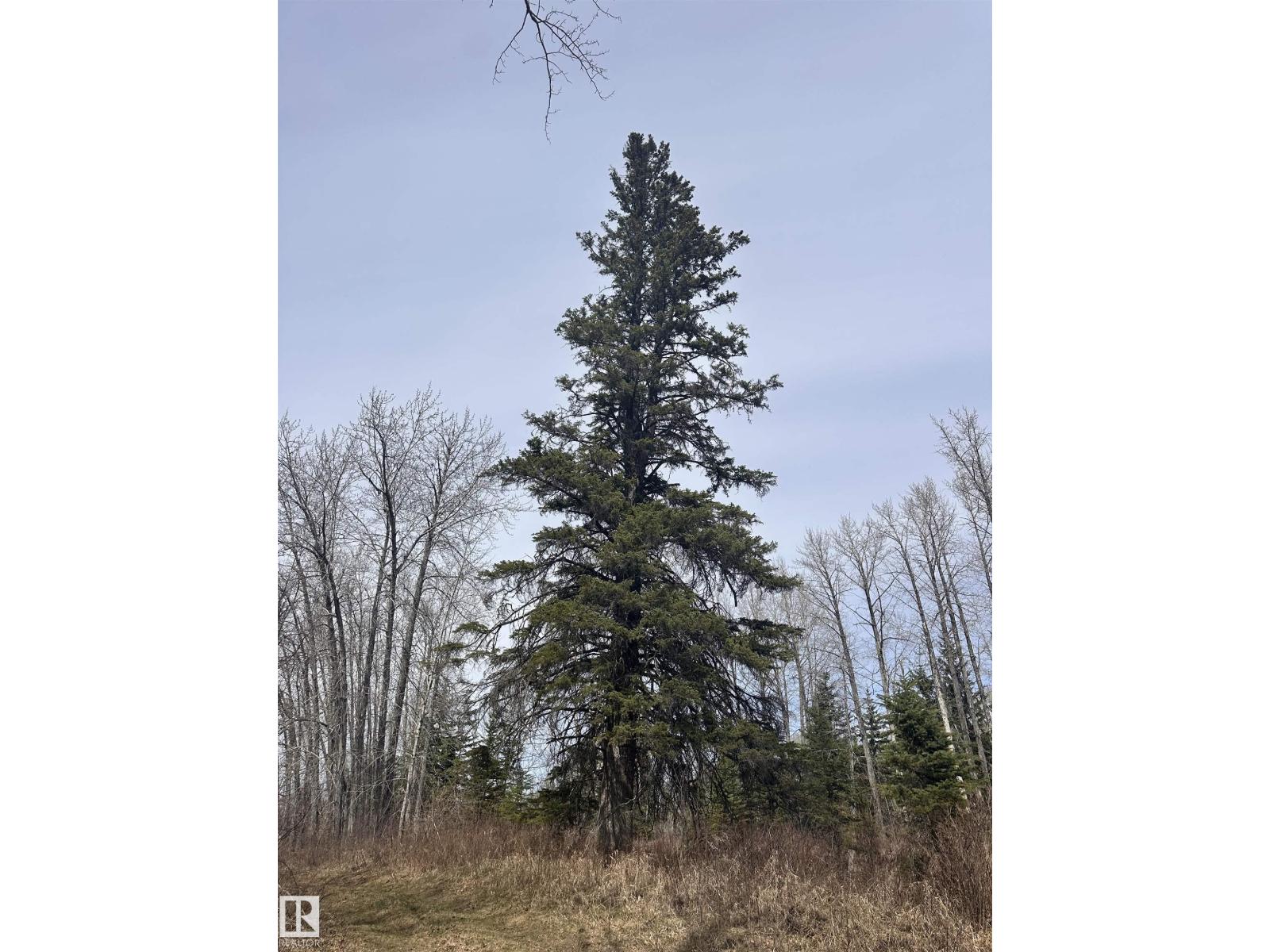 620075 Rge Rd 51, Rural Woodlands County, Alberta  T0G 1A0 - Photo 26 - E4489526