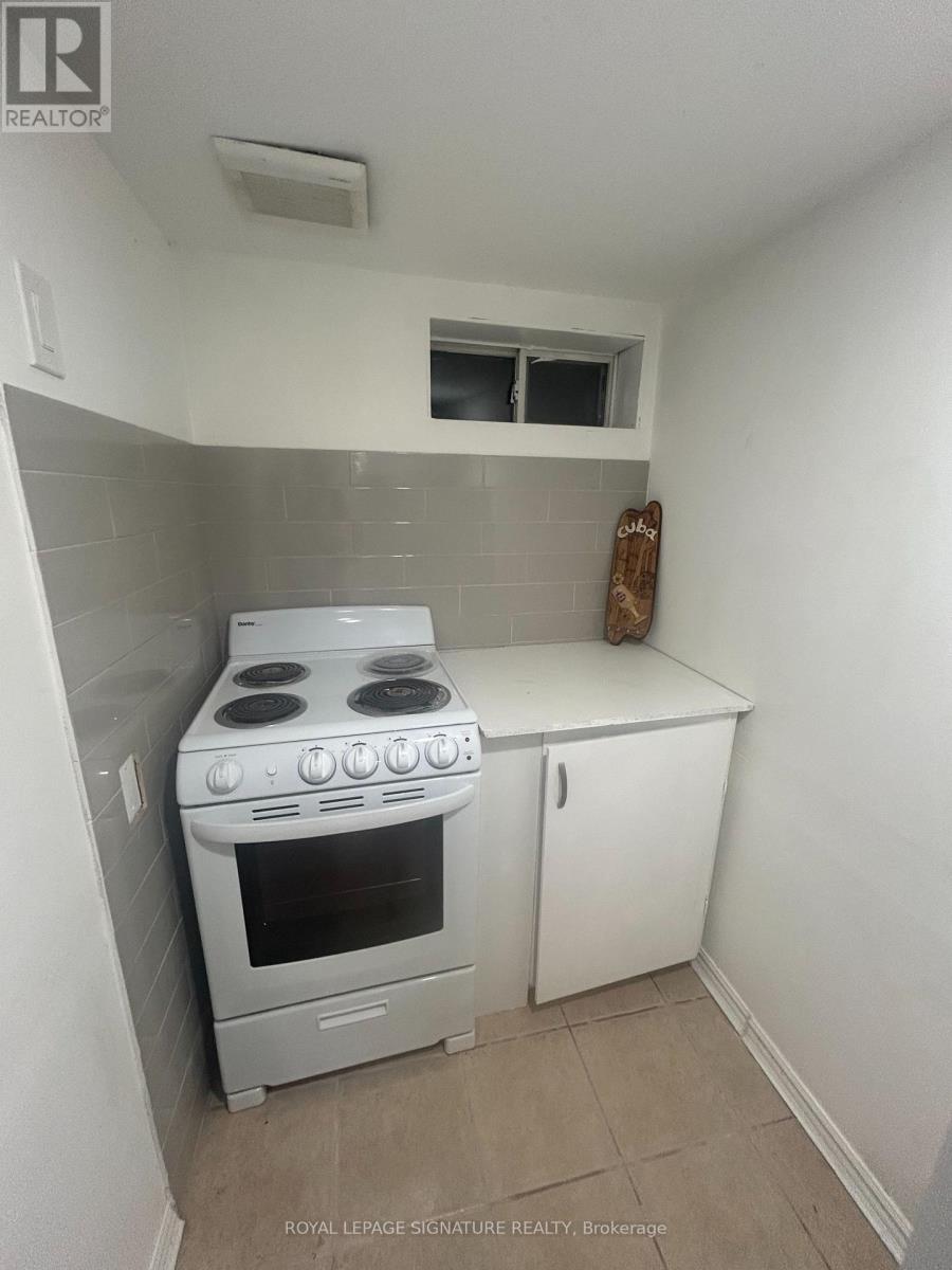 1 Bedroom Basement - 238 Beechy Drive, Richmond Hill, Ontario  L4C 2X7 - Photo 4 - N13164478