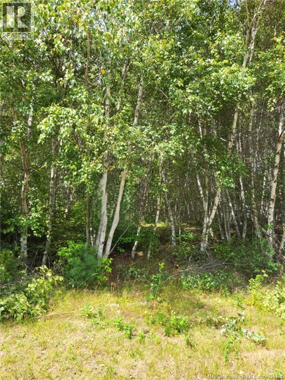 Lot D Richard Route 535, Saint-Thomas-De-Kent, New Brunswick  E1H 1V8 - Photo 3 - NB119426