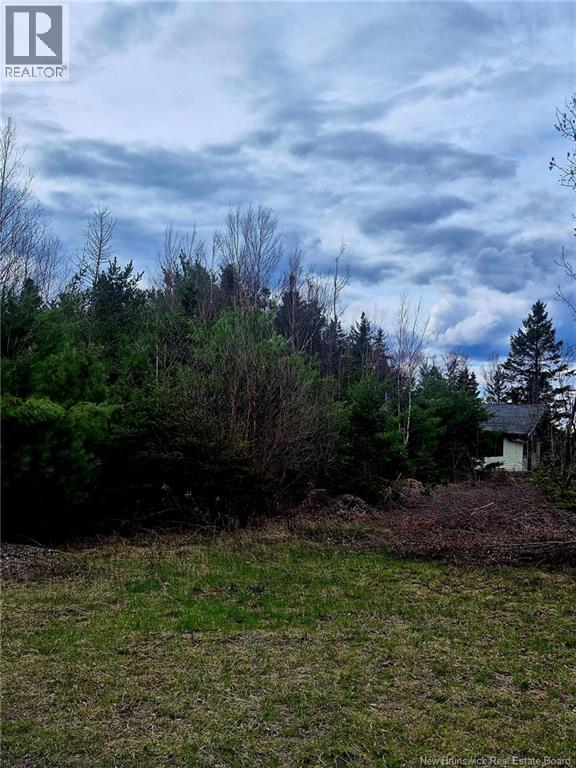 Lot D Richard Route 535, Saint-Thomas-De-Kent, New Brunswick  E1H 1V8 - Photo 6 - NB119426