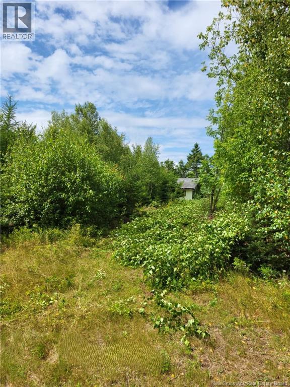 Lot D Richard Route 535, Saint-Thomas-De-Kent, New Brunswick  E1H 1V8 - Photo 4 - NB119426