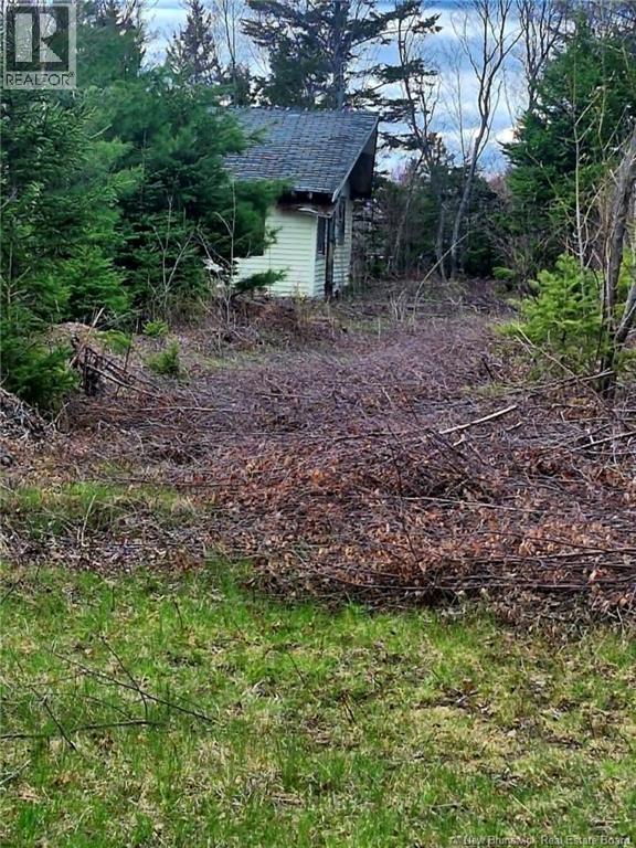 Lot D Richard Route 535, Saint-Thomas-De-Kent, New Brunswick  E1H 1V8 - Photo 9 - NB119426