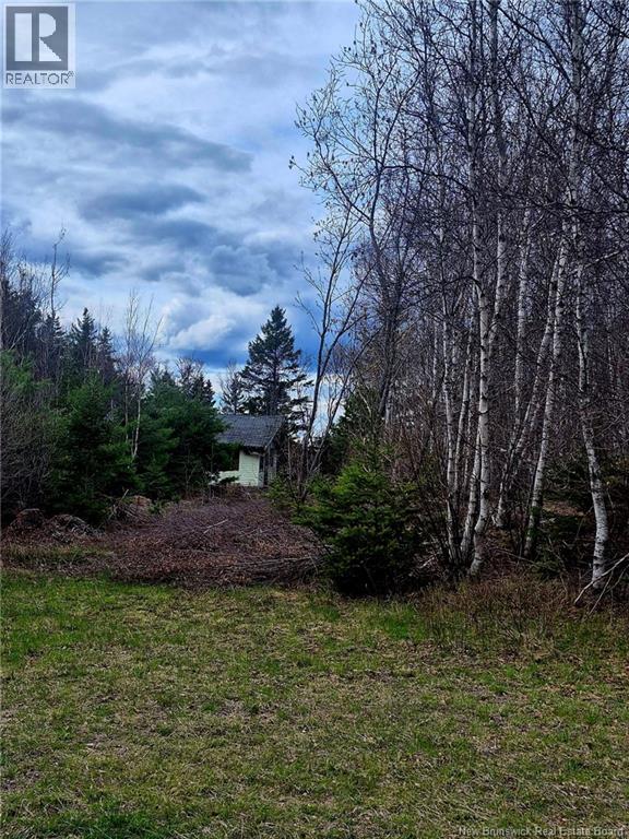 Lot D Richard Route 535, Saint-Thomas-De-Kent, New Brunswick  E1H 1V8 - Photo 5 - NB119426