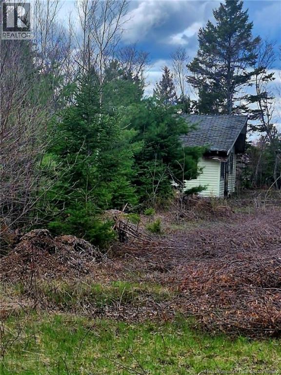 Lot D Richard Route 535, Saint-Thomas-De-Kent, New Brunswick  E1H 1V8 - Photo 11 - NB119426