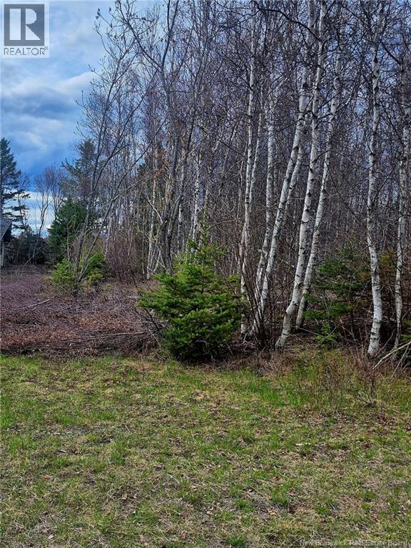 Lot D Richard Route 535, Saint-Thomas-De-Kent, New Brunswick  E1H 1V8 - Photo 8 - NB119426