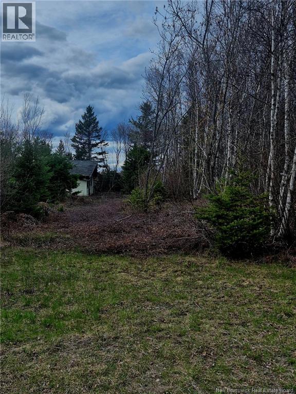 Lot D Richard Route 535, Saint-Thomas-De-Kent, New Brunswick  E1H 1V8 - Photo 7 - NB119426