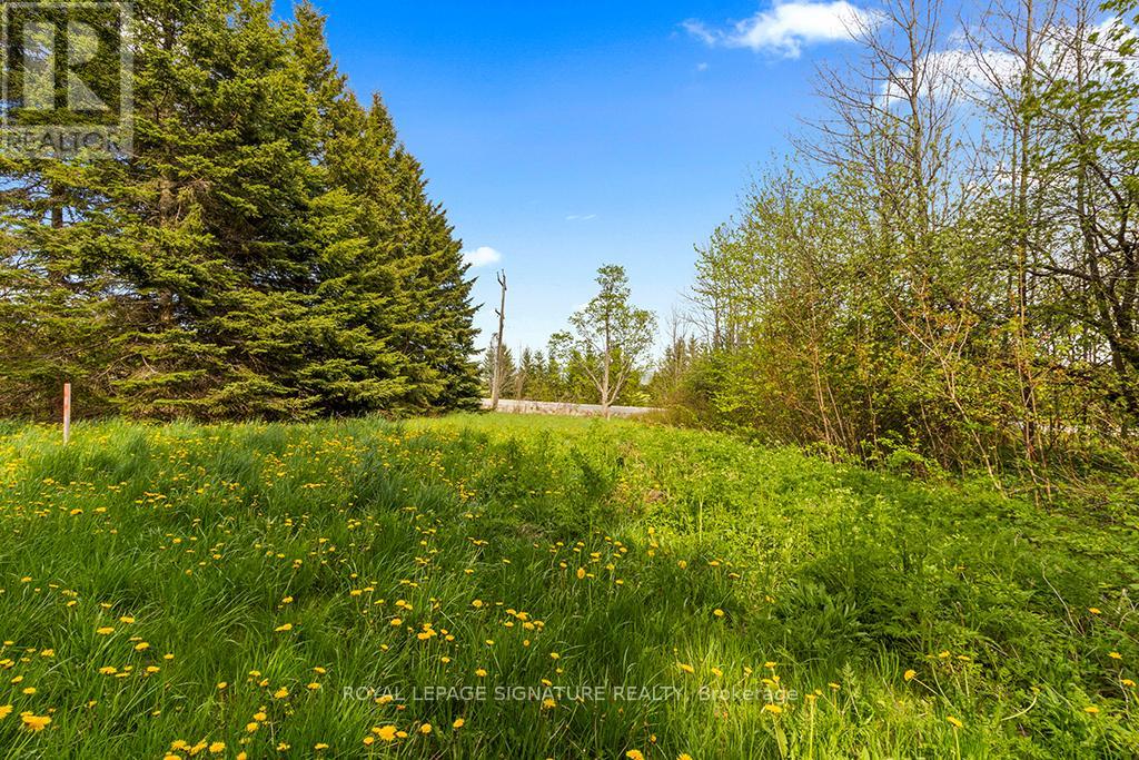 196300 Grey Road 7 Road, Grey Highlands, Ontario  N4L 1W7 - Photo 7 - X13160720
