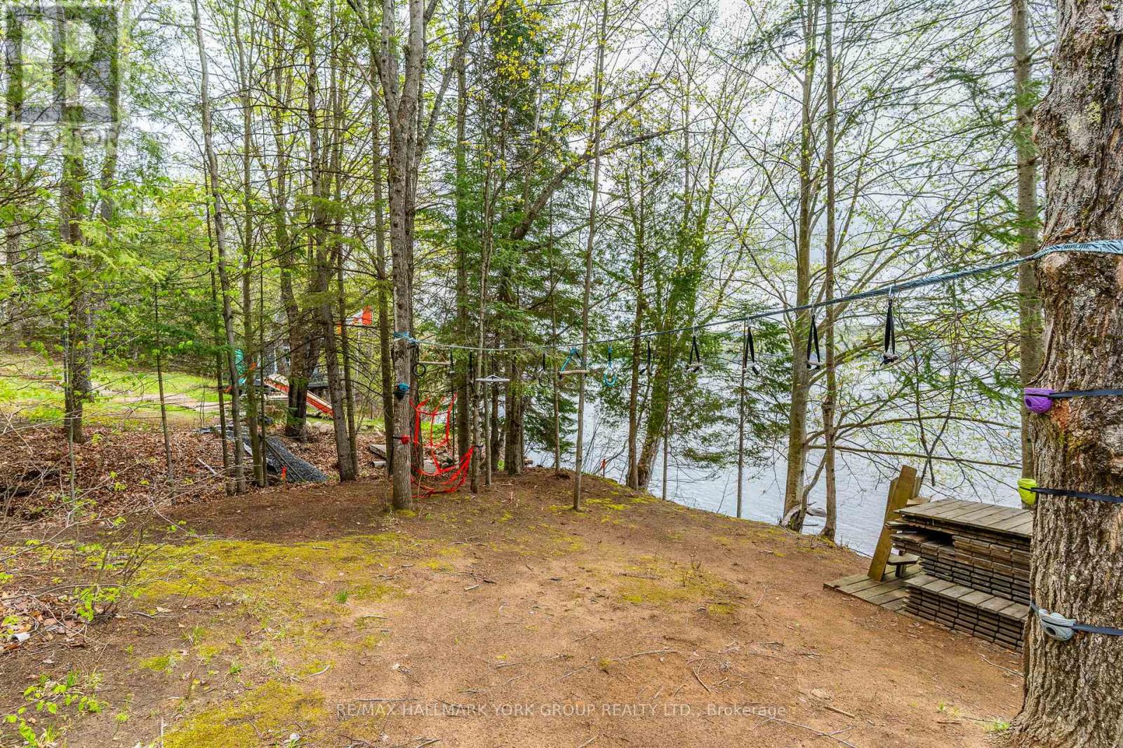 1040 Ted Carr Lane, Algonquin Highlands (Stanhope), Ontario  K0M 1J1 - Photo 39 - X13165036