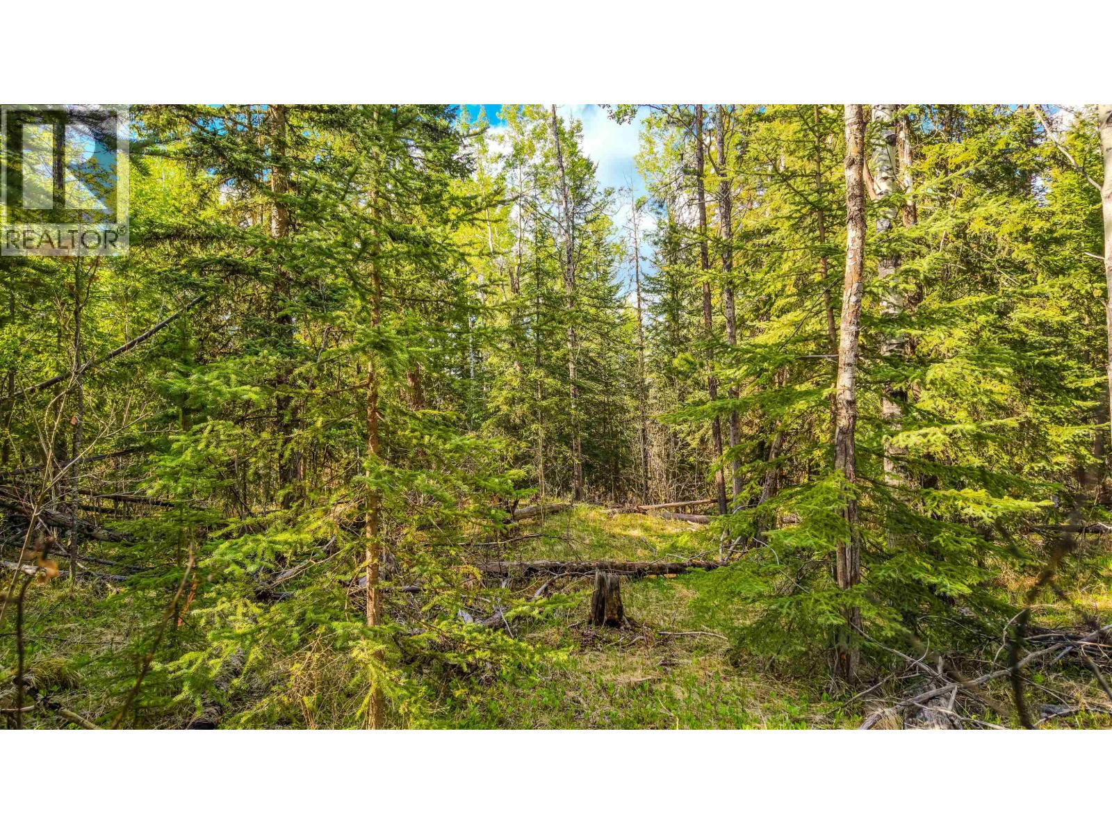 6317 Horse Lake Road, Horse Lake, British Columbia V0K 1X3 - Photo 10 - R3077930