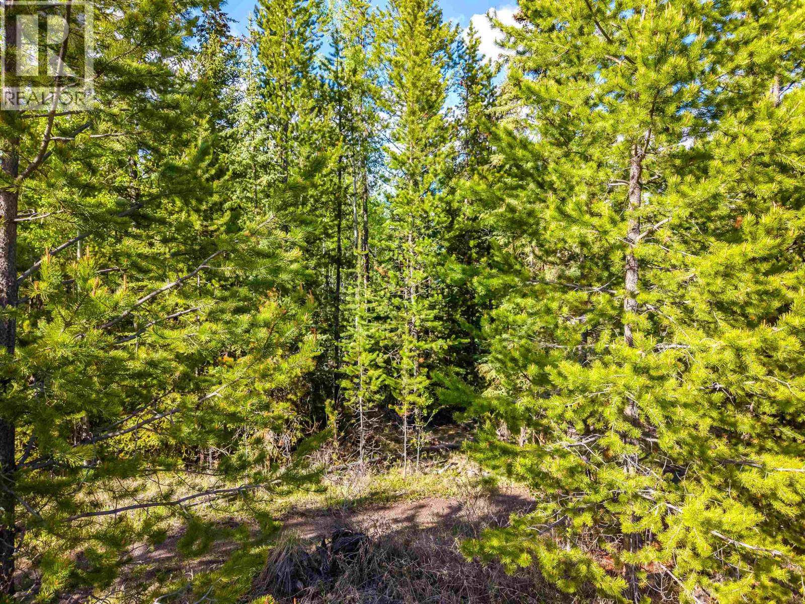 6317 Horse Lake Road, Horse Lake, British Columbia V0K 1X3 - Photo 9 - R3077930