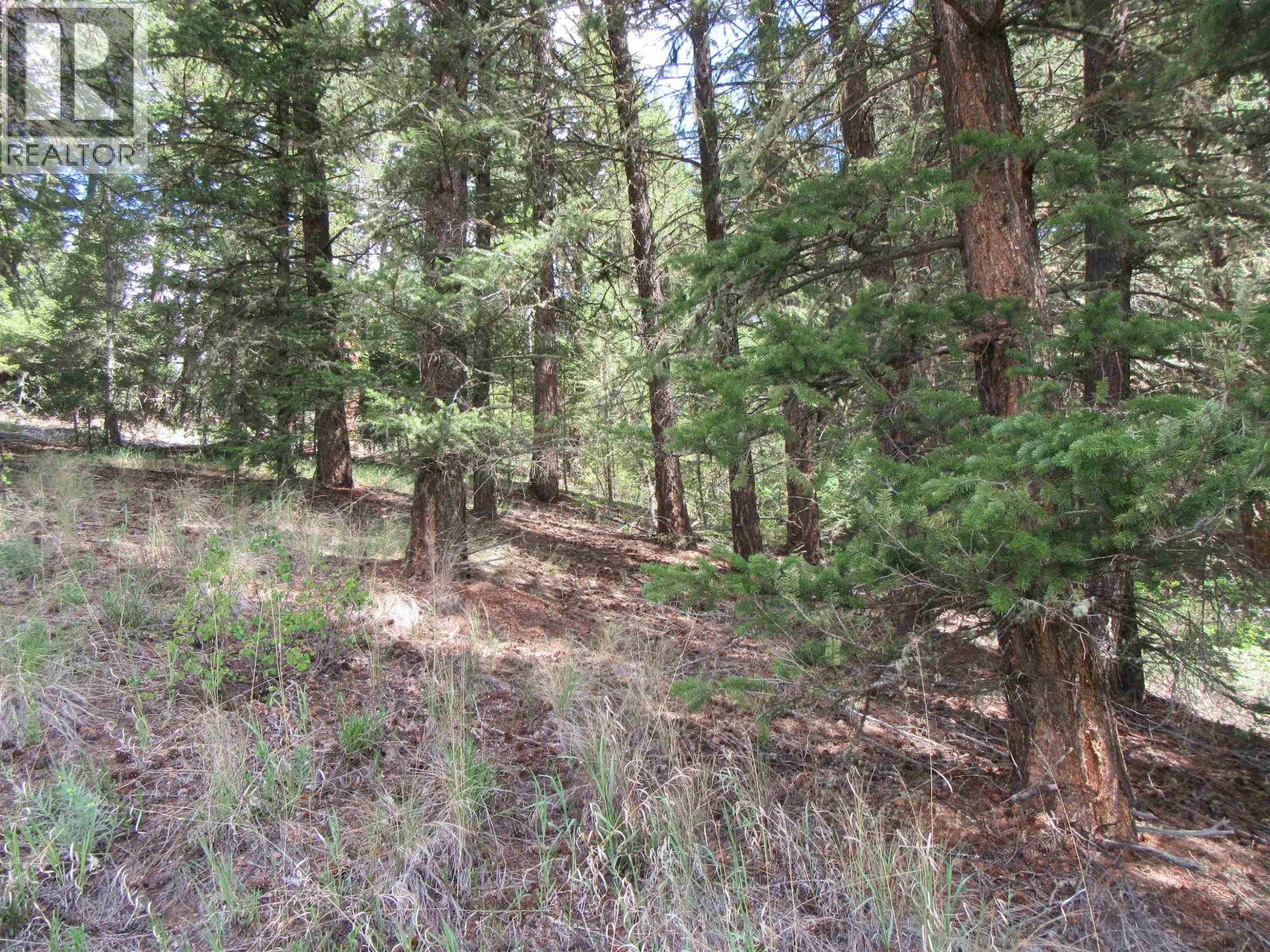 Dl 2808 Donovan Road, Lac La Hache, British Columbia V0K 1T0 - Photo 10 - R3080205