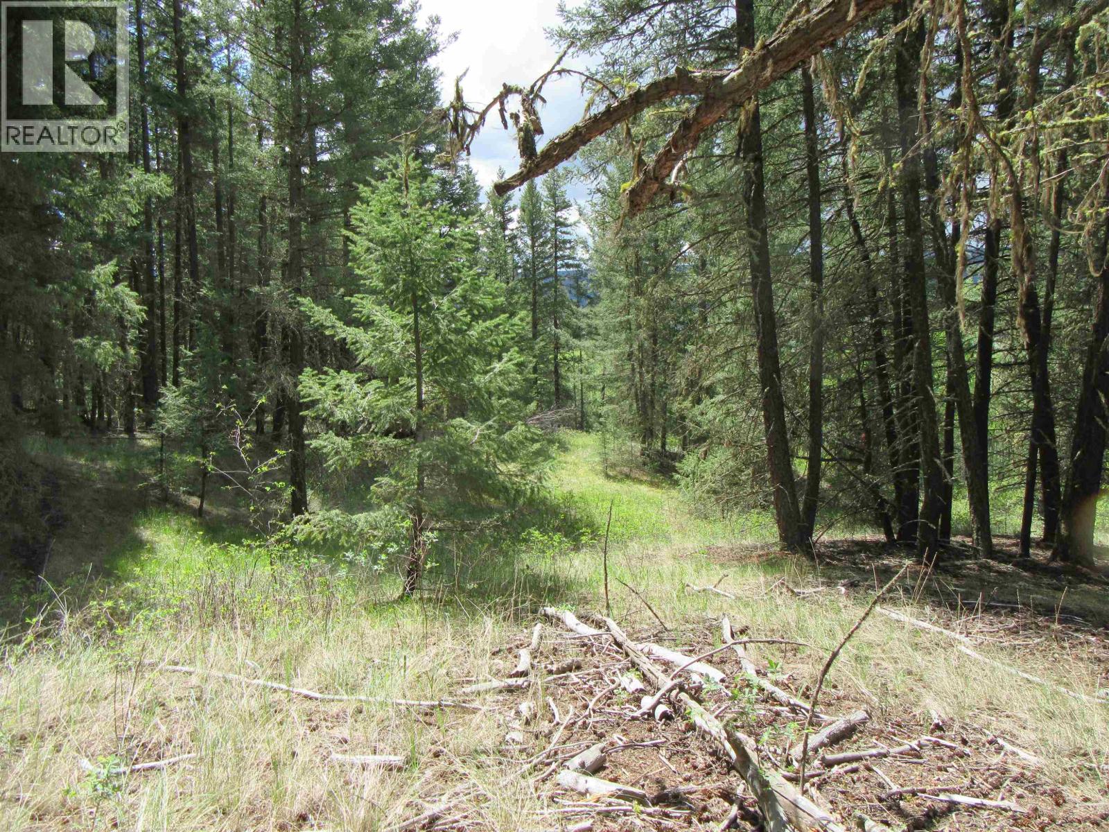 Dl 2808 Donovan Road, Lac La Hache, British Columbia V0K 1T0 - Photo 13 - R3080205
