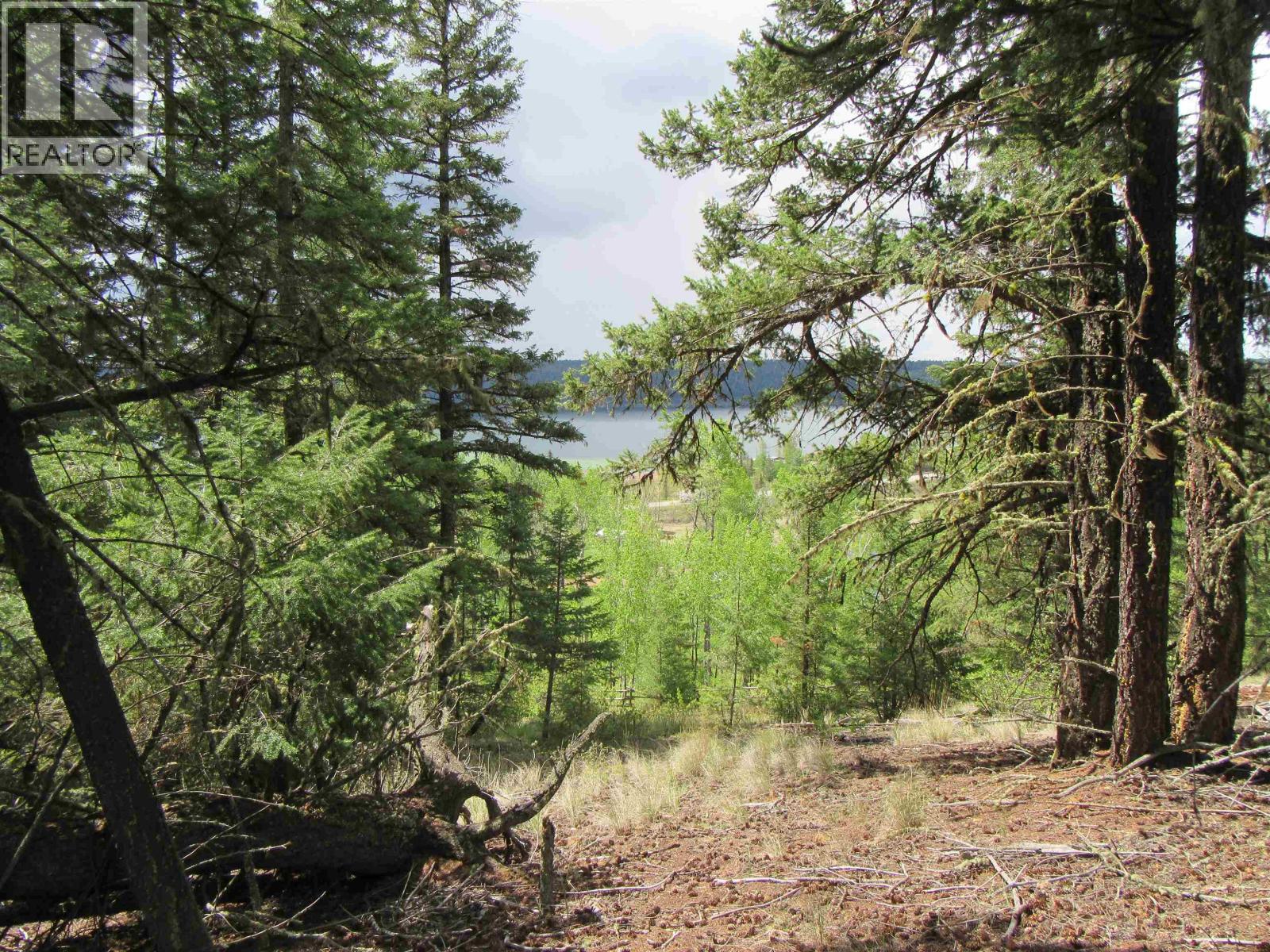 Dl 2808 Donovan Road, Lac La Hache, British Columbia V0K 1T0 - Photo 2 - R3080205