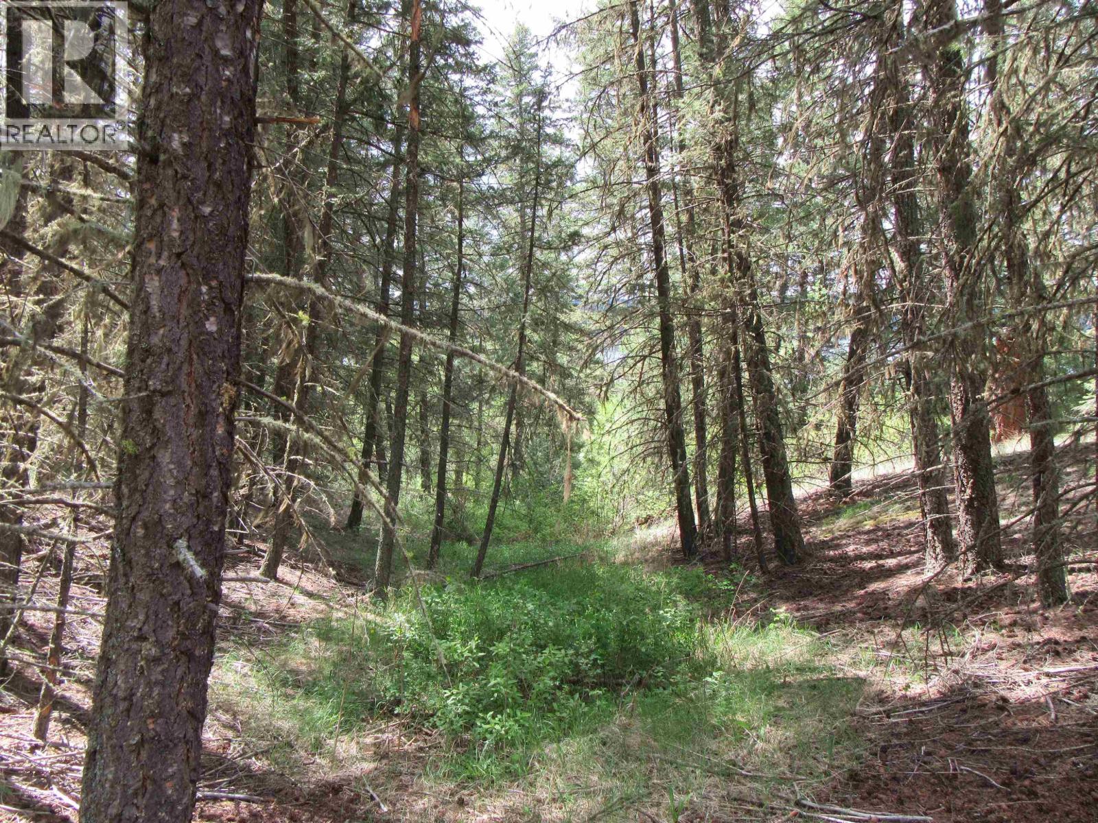Dl 2808 Donovan Road, Lac La Hache, British Columbia V0K 1T0 - Photo 15 - R3080205
