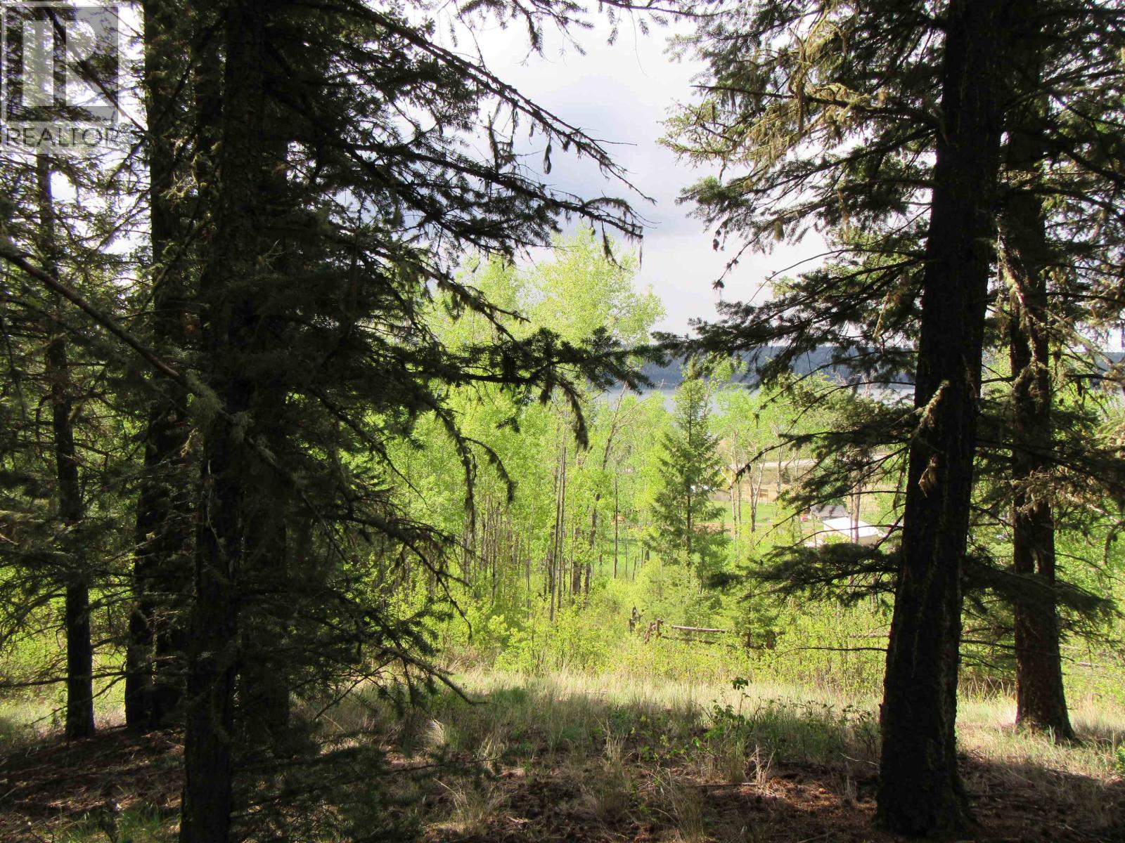 Dl 2808 Donovan Road, Lac La Hache, British Columbia V0K 1T0 - Photo 11 - R3080205