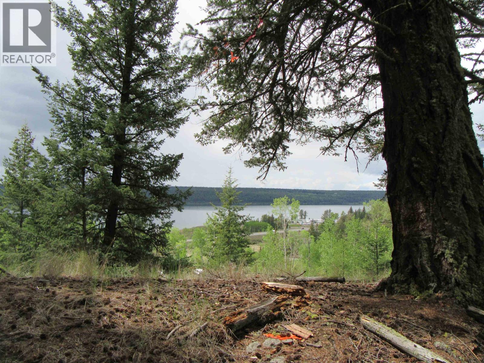 Dl 2808 Donovan Road, Lac La Hache, British Columbia V0K 1T0 - Photo 4 - R3080205