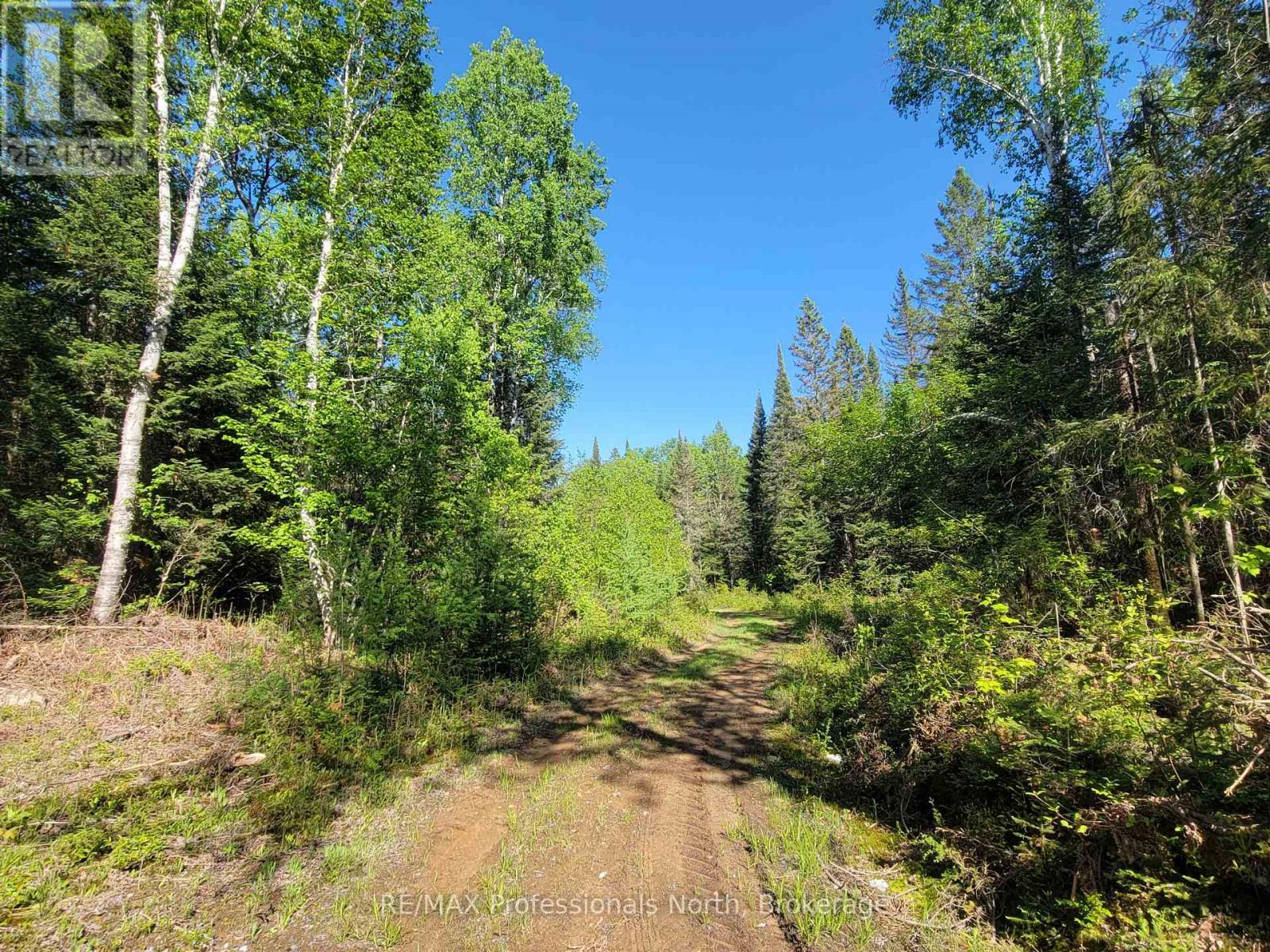 156 Butterfield Road, Powassan, Ontario  P0H 2L0 - Photo 12 - X13165164