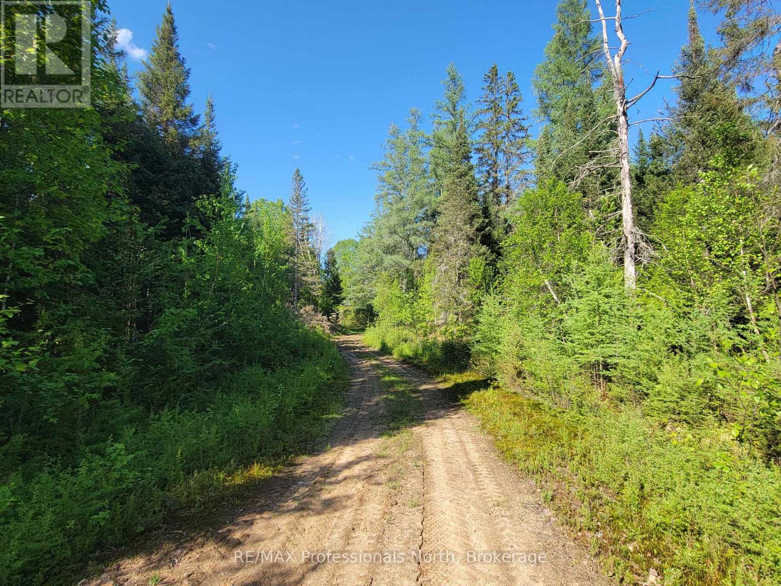 156 Butterfield Road, Powassan, Ontario  P0H 2L0 - Photo 14 - X13165164