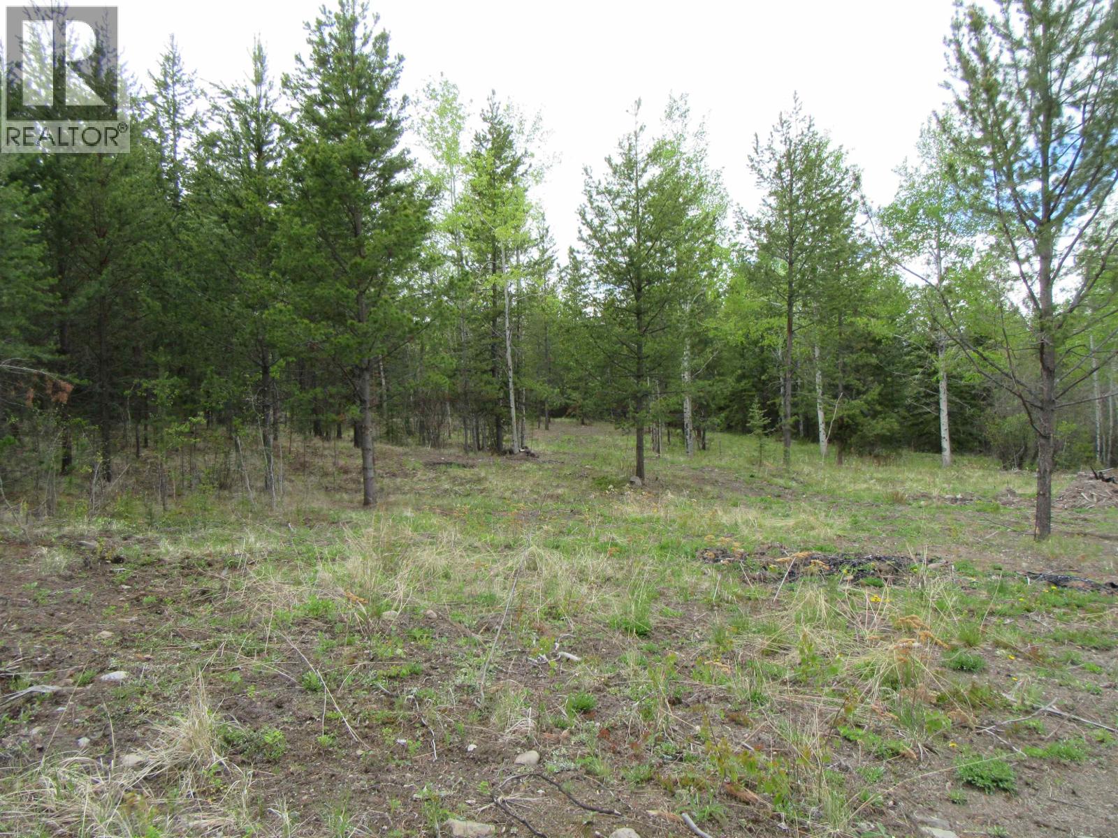 Lot B Lone Butte Horse Lake Road, Lone Butte, British Columbia V0K 1X3 - Photo 5 - R3102554