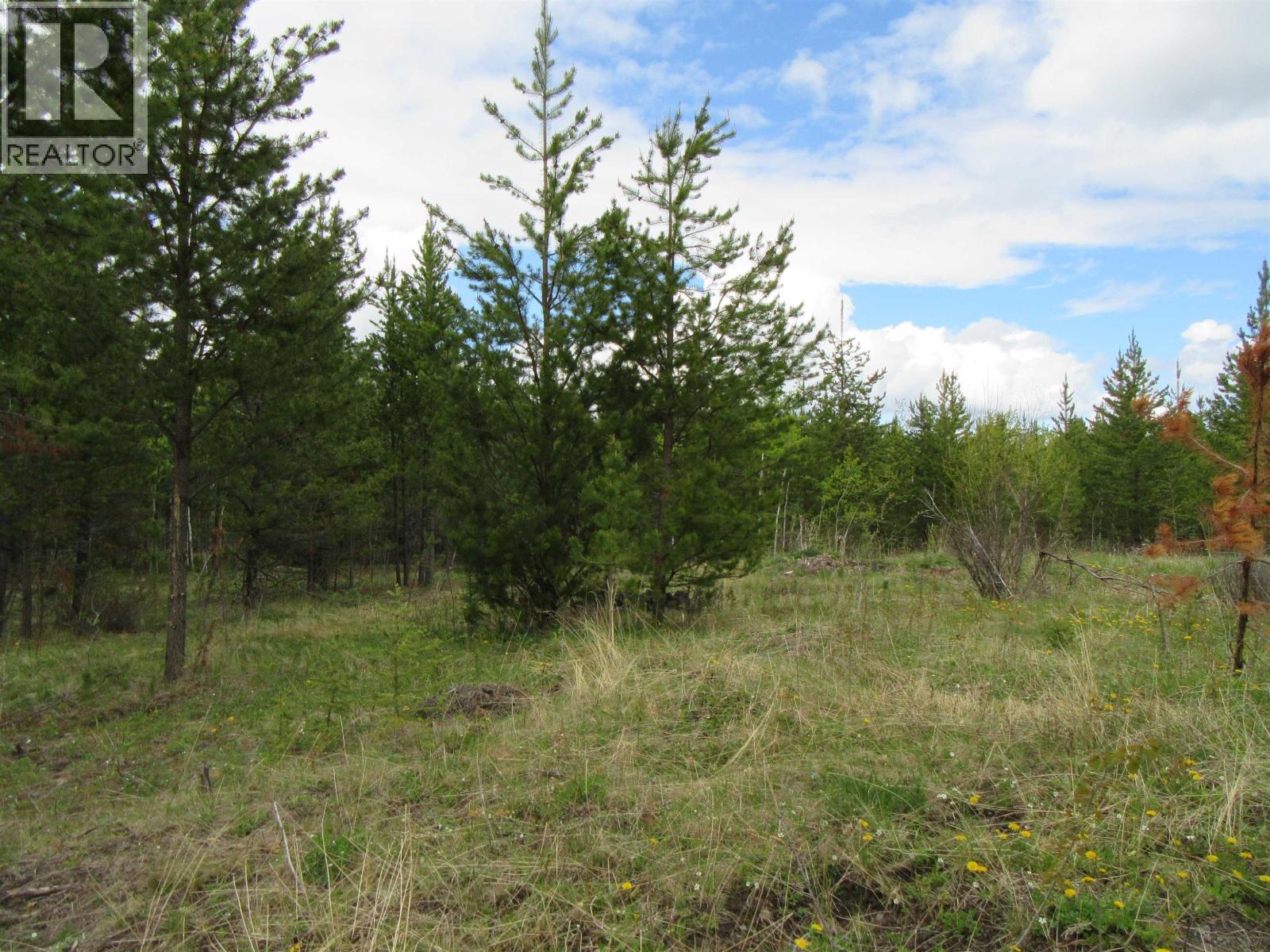 Lot B Lone Butte Horse Lake Road, Lone Butte, British Columbia V0K 1X3 - Photo 10 - R3102554