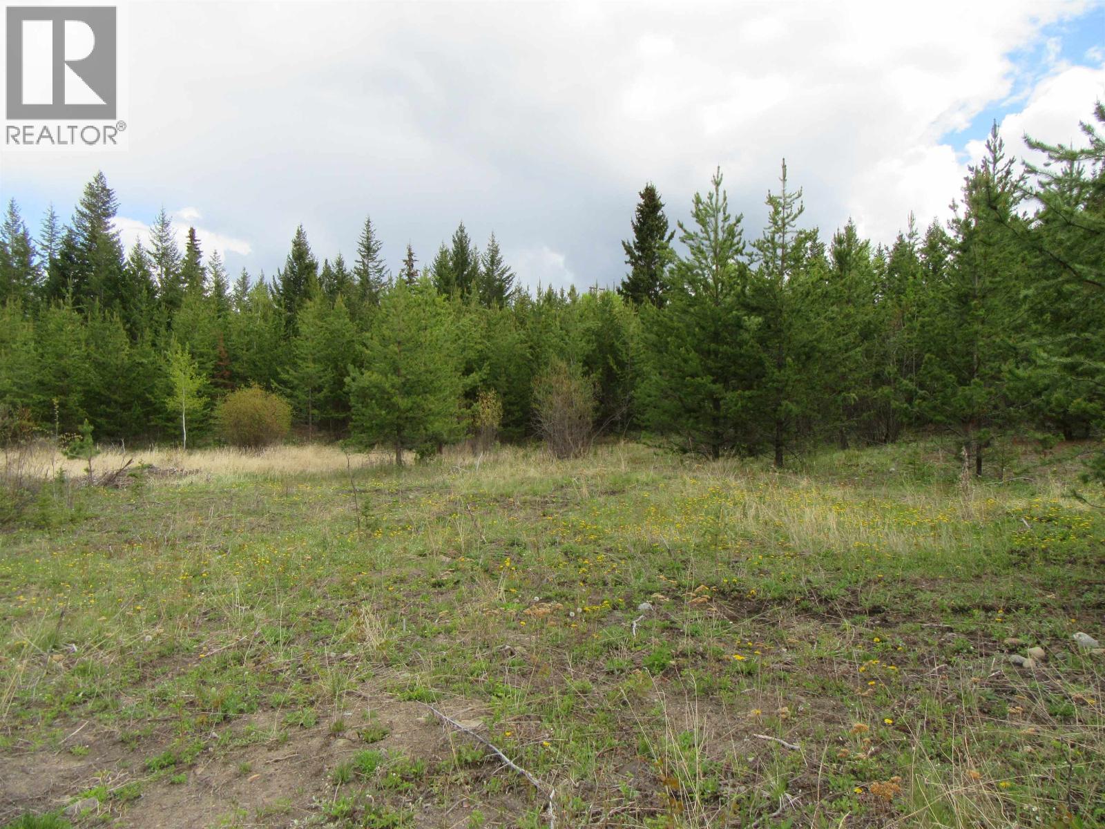 Lot B Lone Butte Horse Lake Road, Lone Butte, British Columbia V0K 1X3 - Photo 13 - R3102554