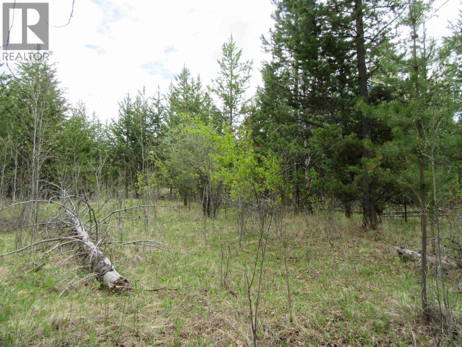Lot B Lone Butte Horse Lake Road, Lone Butte, British Columbia V0K 1X3 - Photo 18 - R3102554