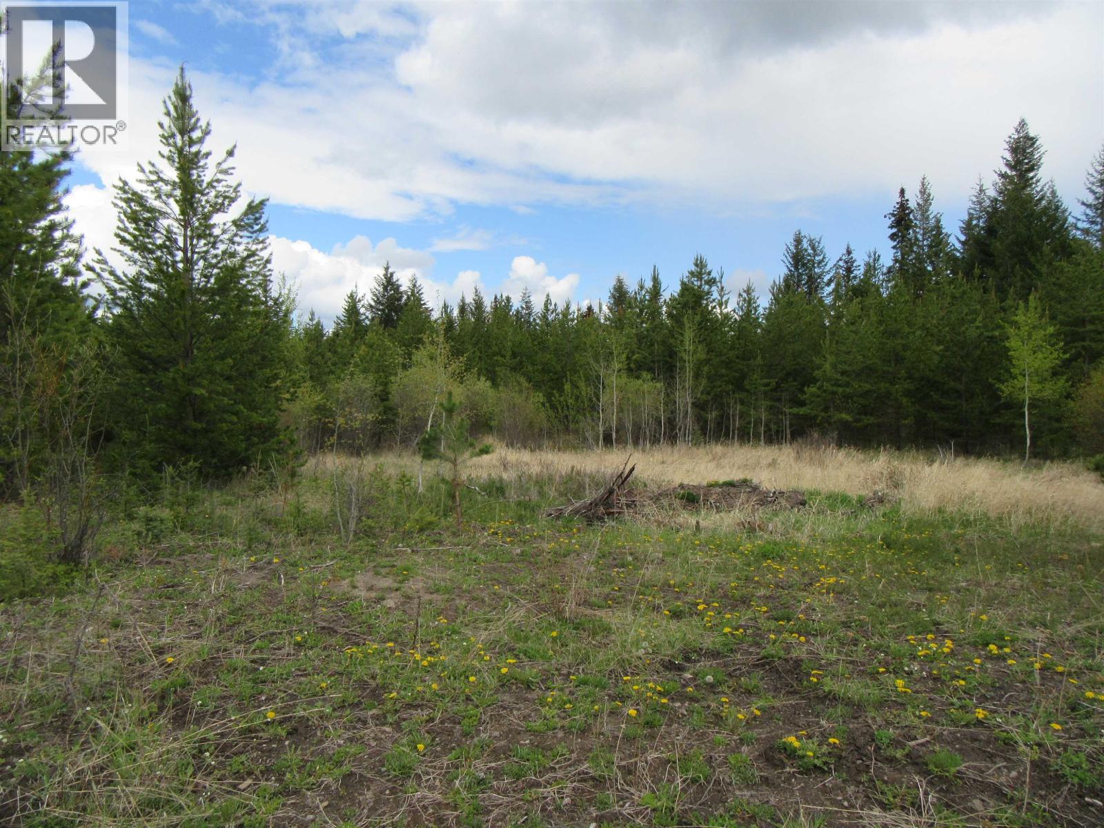 Lot B Lone Butte Horse Lake Road, Lone Butte, British Columbia V0K 1X3 - Photo 14 - R3102554