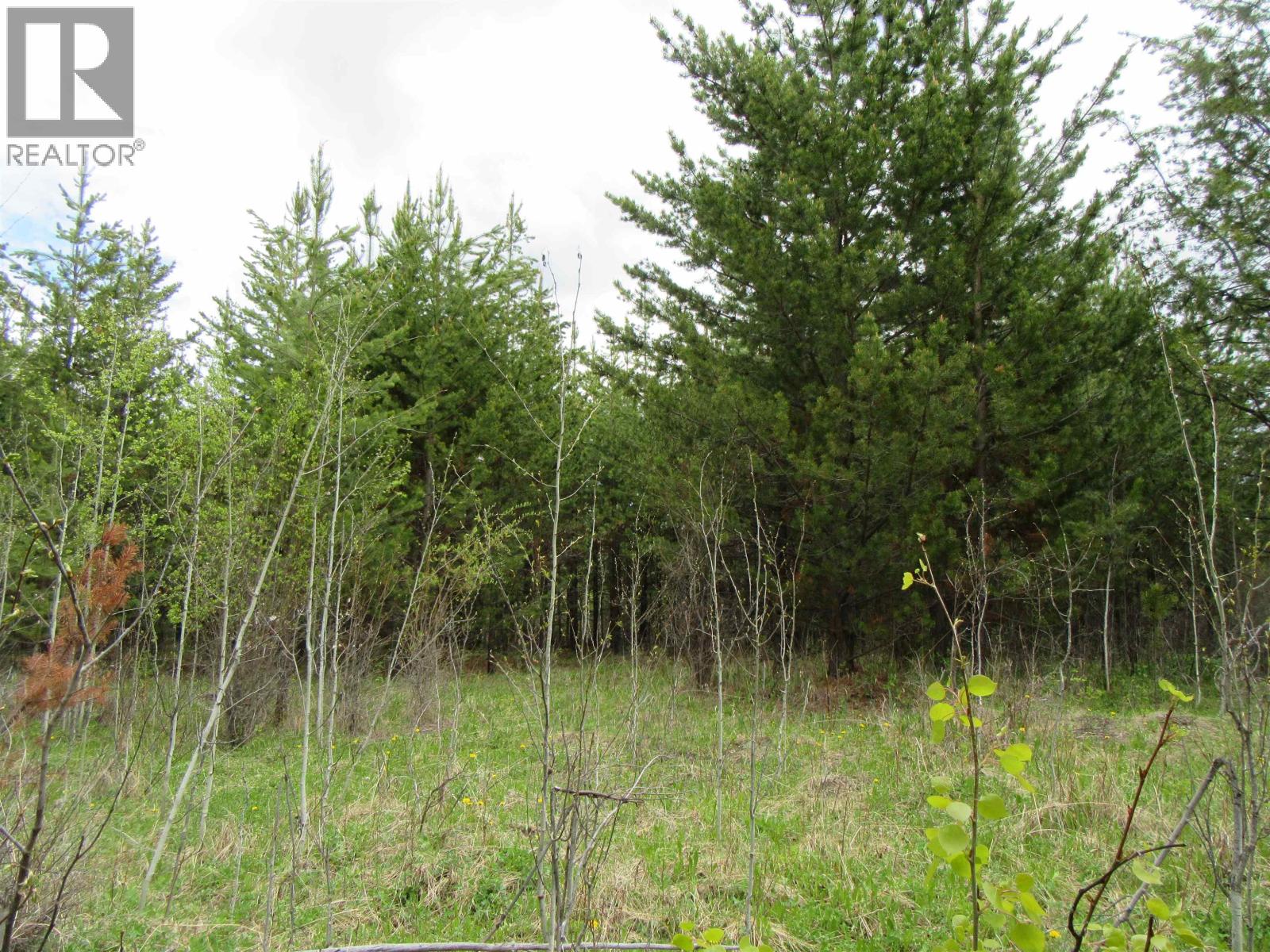 Lot B Lone Butte Horse Lake Road, Lone Butte, British Columbia V0K 1X3 - Photo 19 - R3102554