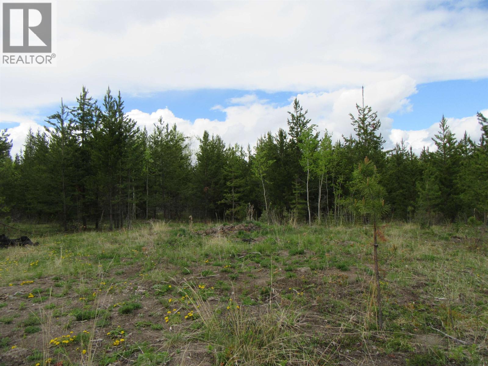 Lot B Lone Butte Horse Lake Road, Lone Butte, British Columbia V0K 1X3 - Photo 12 - R3102554