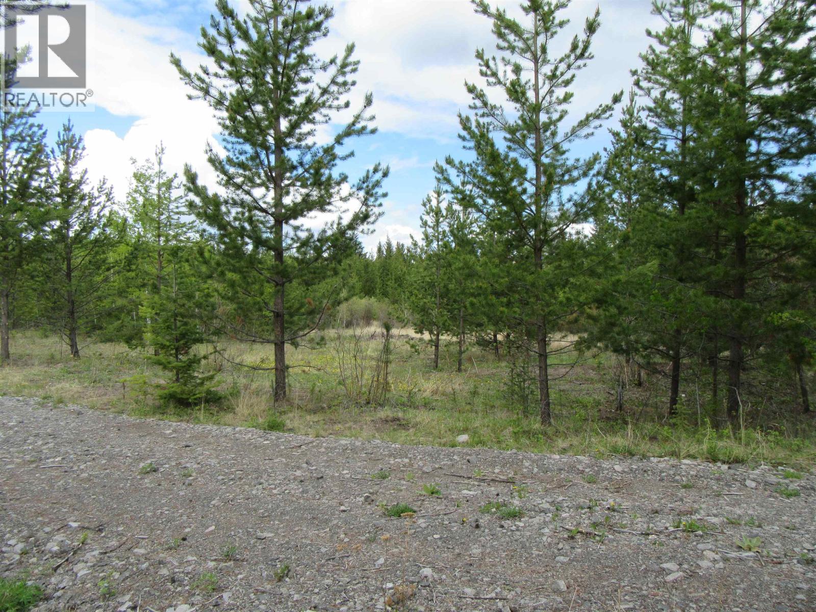 Lot B Lone Butte Horse Lake Road, Lone Butte, British Columbia V0K 1X3 - Photo 6 - R3102554