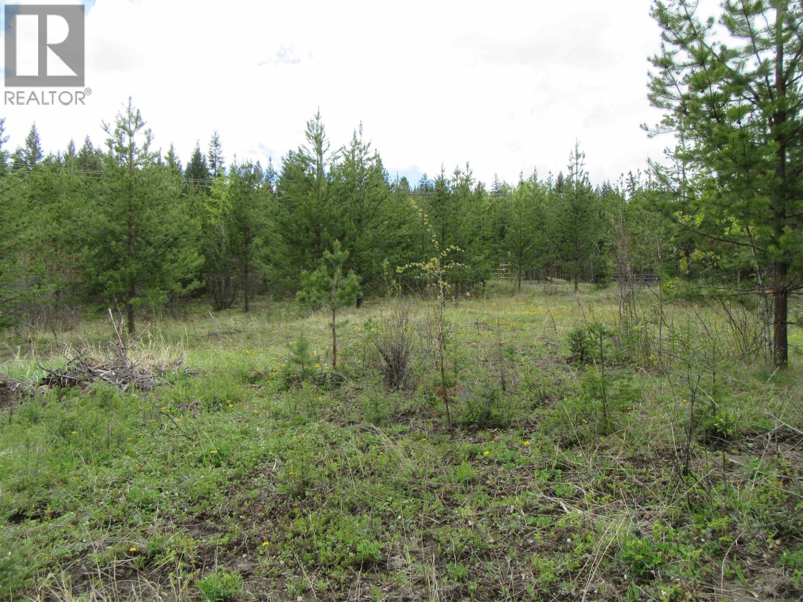 Lot B Lone Butte Horse Lake Road, Lone Butte, British Columbia V0K 1X3 - Photo 15 - R3102554