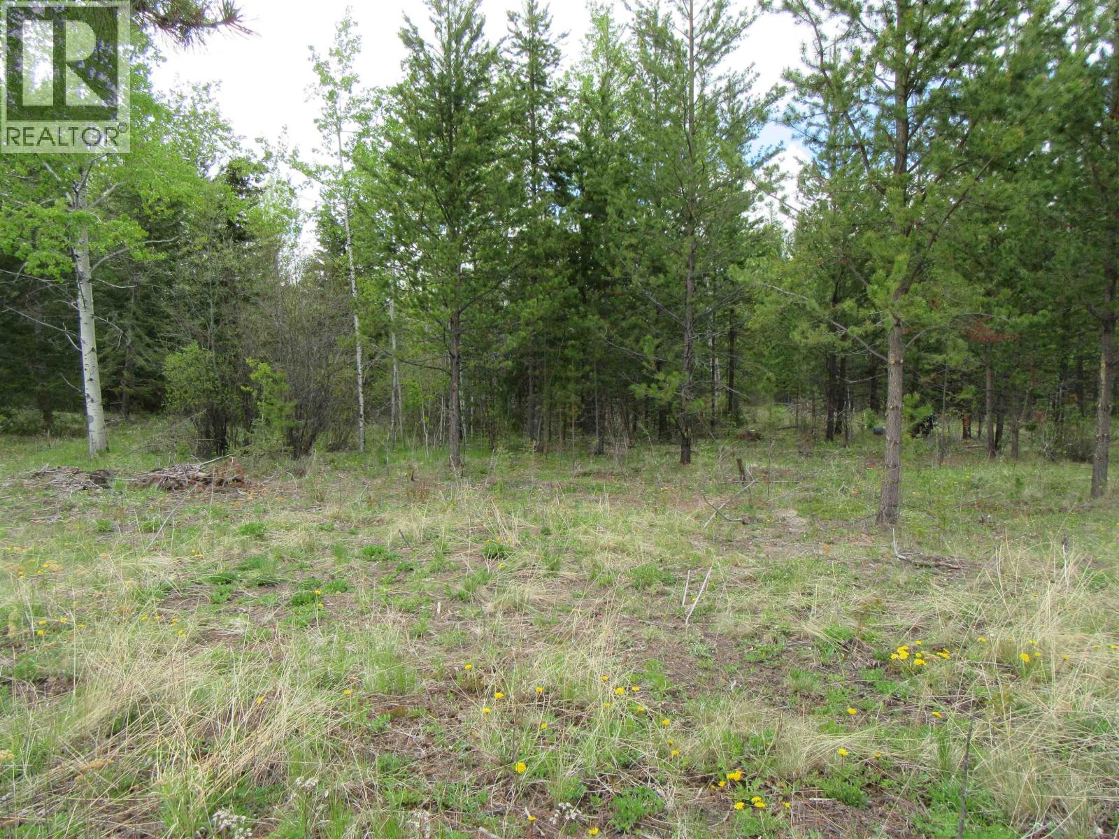 Lot B Lone Butte Horse Lake Road, Lone Butte, British Columbia V0K 1X3 - Photo 9 - R3102554