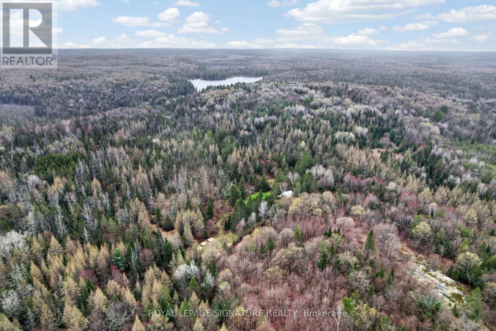1223 Long Lake Road, Perry, Ontario  P0B 1M0 - Photo 43 - X13165228