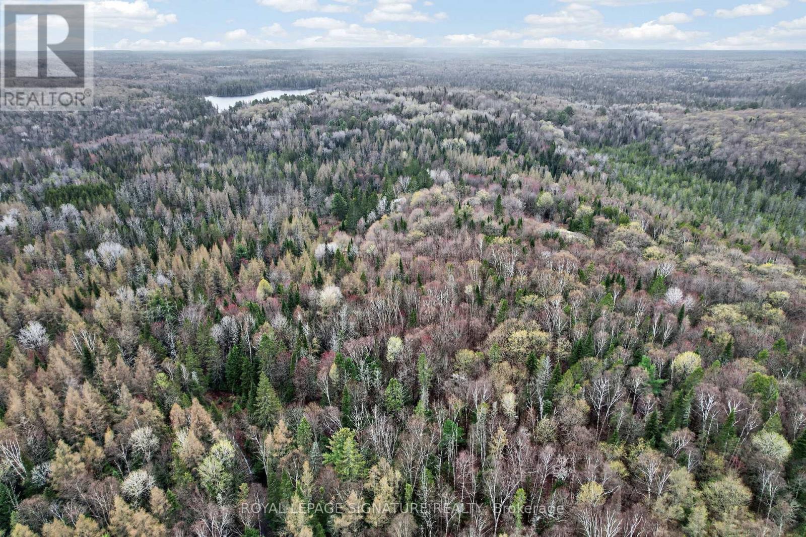 1223 Long Lake Road, Perry, Ontario  P0B 1M0 - Photo 44 - X13165228