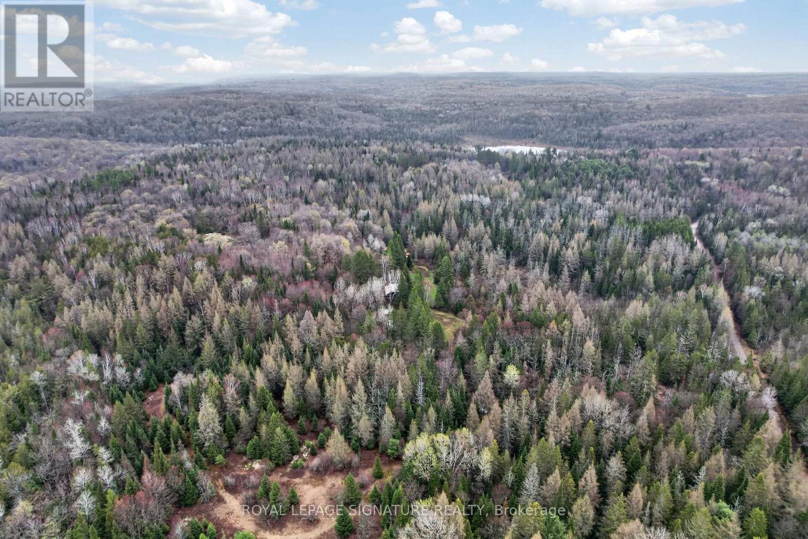 1223 Long Lake Road, Perry, Ontario  P0B 1M0 - Photo 46 - X13165228
