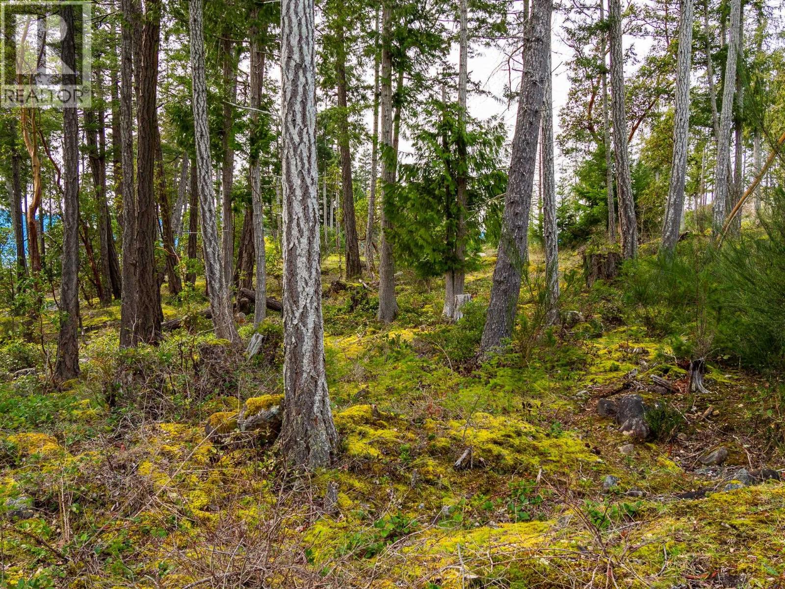 Lot 13 Flagship Road, Pender Harbour, British Columbia  V0N 1S1 - Photo 21 - R3127149