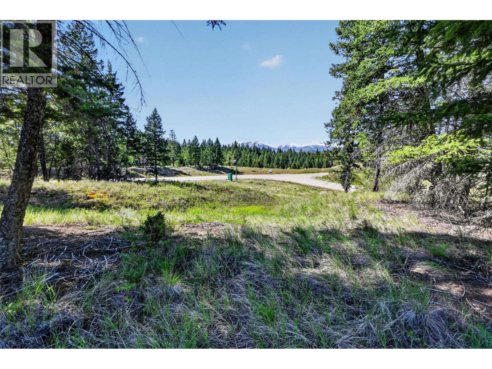 4915 Saddlewood Lane, Radium Hot Springs, British Columbia  V0A 1M0 - Photo 6 - 10388239