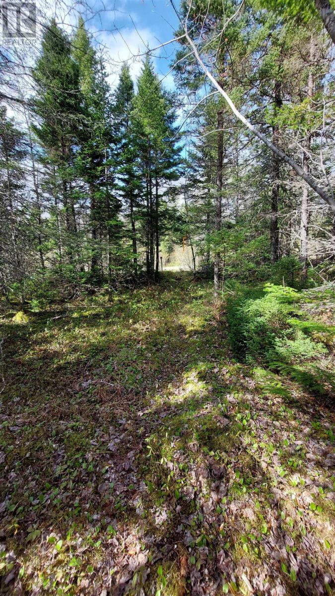 Lot 8 Evanston Rd, Evanston, Nova Scotia  B0E 1J0 - Photo 17 - 202611132
