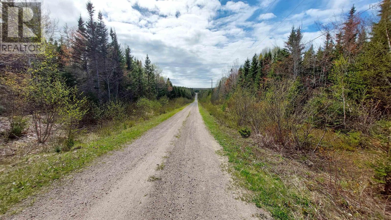 Lot 8 Evanston Rd, Evanston, Nova Scotia  B0E 1J0 - Photo 10 - 202611132