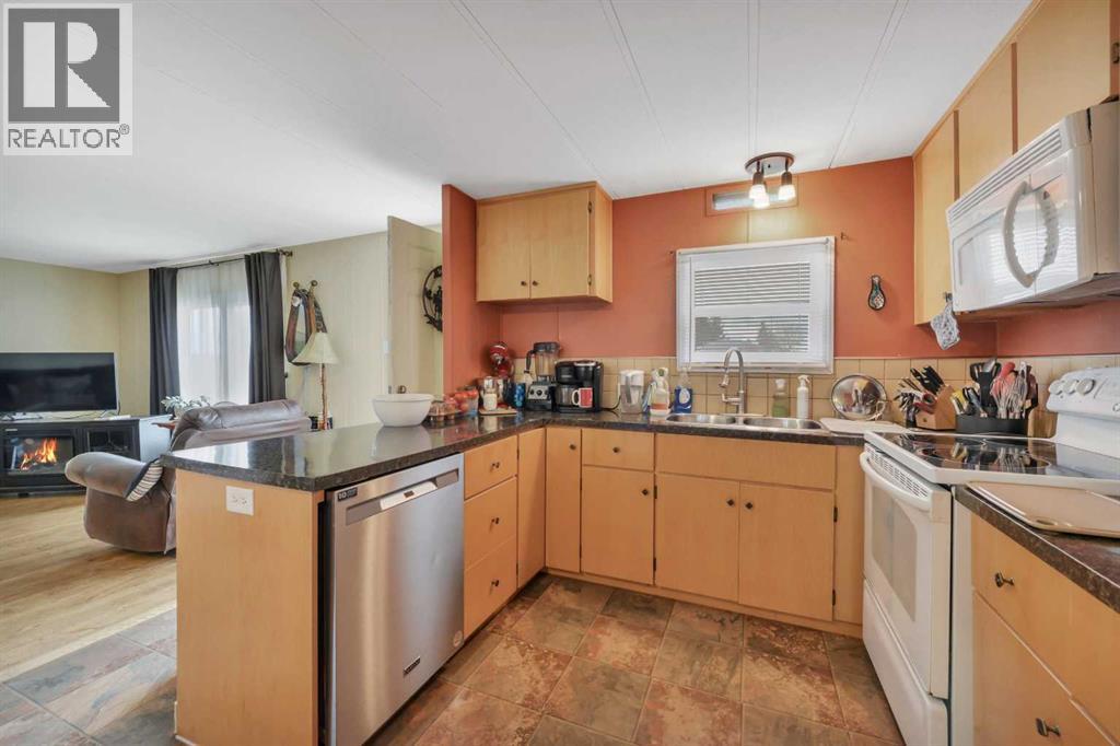 157 Railway Avenue S, Big Valley, Alberta  T0J 0G0 - Photo 11 - A2312458