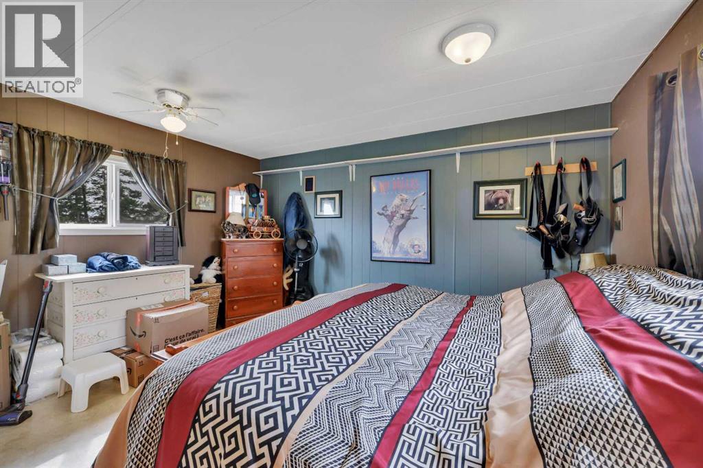 157 Railway Avenue S, Big Valley, Alberta  T0J 0G0 - Photo 22 - A2312458