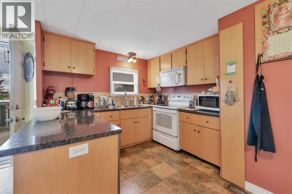 157 Railway Avenue S, Big Valley, Alberta  T0J 0G0 - Photo 10 - A2312458