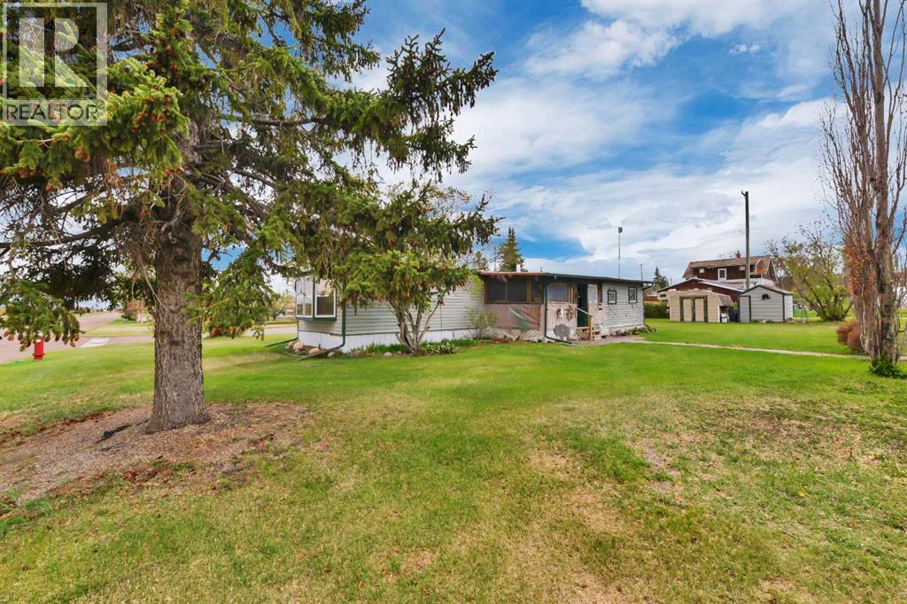 157 Railway Avenue S, Big Valley, Alberta  T0J 0G0 - Photo 31 - A2312458
