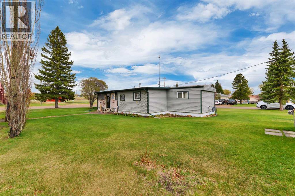 157 Railway Avenue S, Big Valley, Alberta  T0J 0G0 - Photo 8 - A2312458