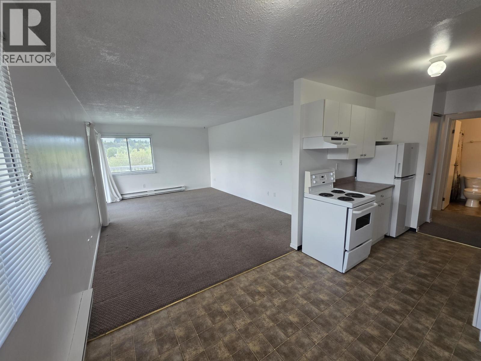317 4931 Walsh Avenue, Terrace, British Columbia  V8G 1Z1 - Photo 3 - R3127086