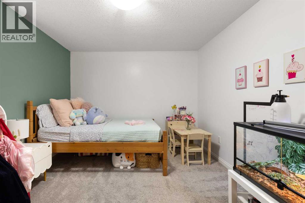 221 Terrace Drive NE, Medicine Hat, Alberta  T1C 2B6 - Photo 35 - A2308491