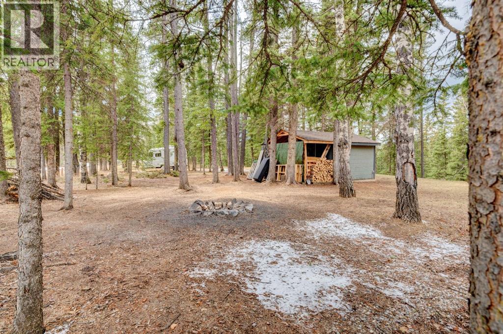 84 Burney, Bragg Creek, Alberta  T0L 0C5 - Photo 46 - A2309483