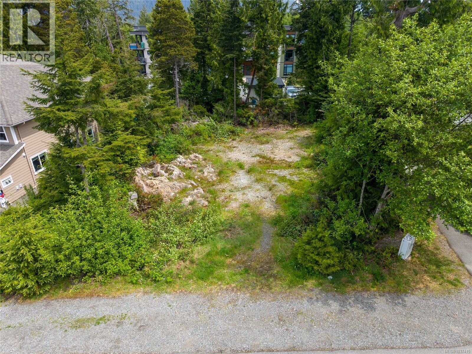 948 Hardy Pl, Tofino, British Columbia  V0R 2Z0 - Photo 6 - 1037415