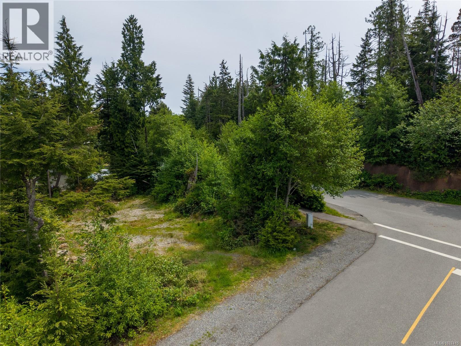 948 Hardy Pl, Tofino, British Columbia  V0R 2Z0 - Photo 7 - 1037415