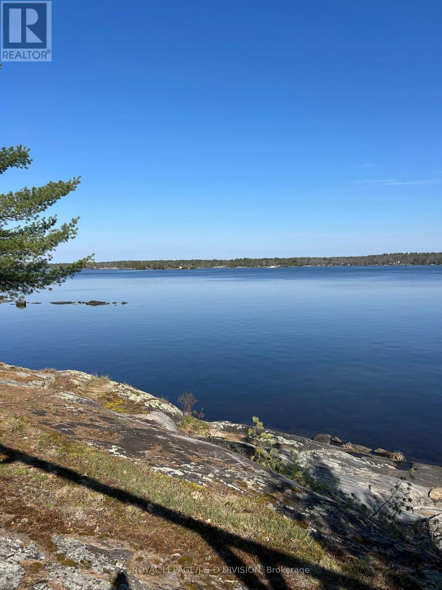 4446 Is 107 Stoney Lake Island, North Kawartha, Ontario  K0L 2H0 - Photo 4 - X13165452